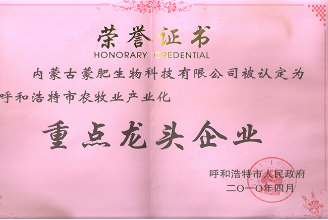 重點龍頭企業(yè)