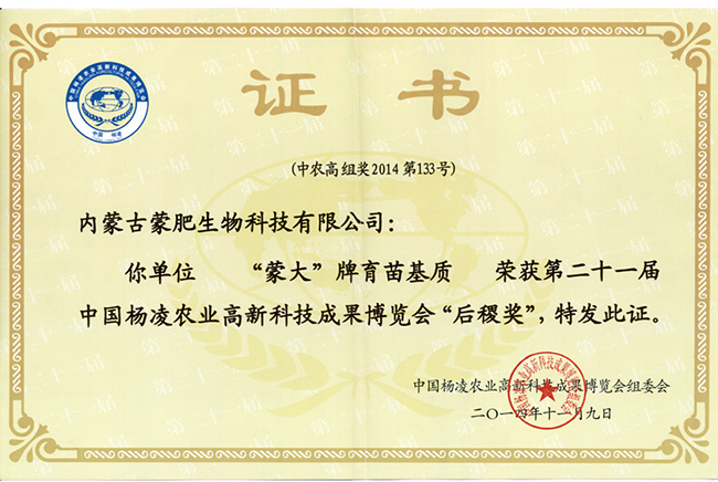 榮譽證書